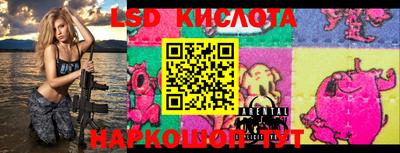 гашик Кудрово