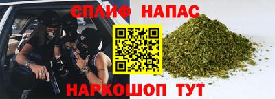гашик Кудрово