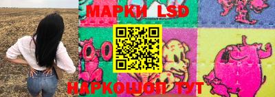гашик Кудрово