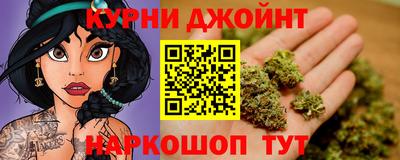 гашик Кудрово